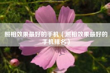 照相效果最好的手机（照相效果最好的手机排名）