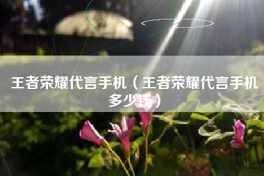 王者荣耀代言手机（王者荣耀代言手机多少钱）