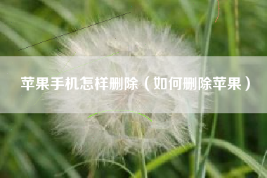 苹果手机怎样删除（如何删除苹果）