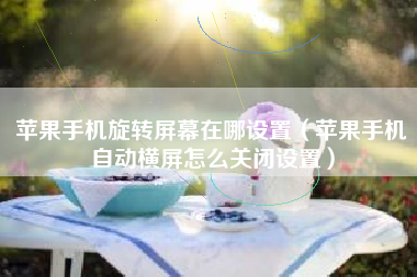 苹果手机旋转屏幕在哪设置（苹果手机自动横屏怎么关闭设置）