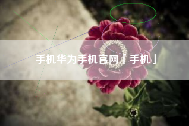 手机华为手机官网「手机」