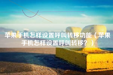 苹果手机怎样设置呼叫转移功能（苹果手机怎样设置呼叫转移？）
