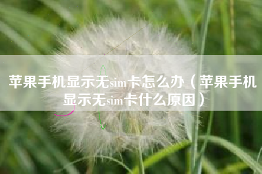 苹果手机显示无sim卡怎么办（苹果手机显示无sim卡什么原因）