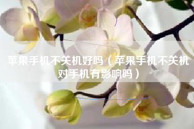 苹果手机不关机好吗（苹果手机不关机对手机有影响吗）