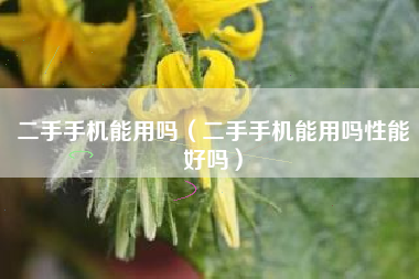 二手手机能用吗（二手手机能用吗性能好吗）
