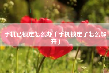 手机已锁定怎么办（手机锁定了怎么解开）