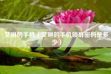 艾琳的手机（艾琳的手机锁屏密码是多少）