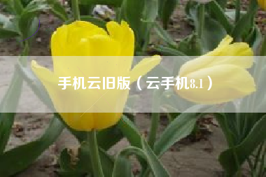 手机云旧版（云手机8.1）