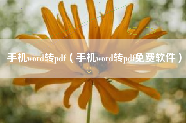 手机word转pdf（手机word转pdf免费软件）