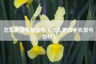 怎么更改手机型号（怎么更改手机型号名称）