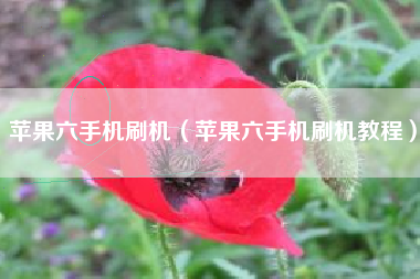 苹果六手机刷机（苹果六手机刷机教程）