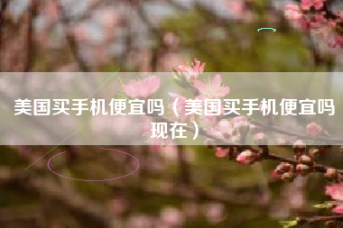 美国买手机便宜吗（美国买手机便宜吗现在）