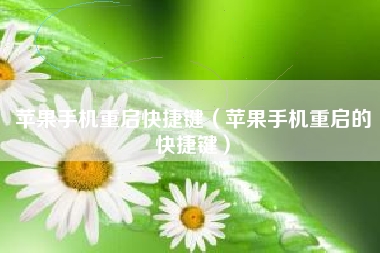 苹果手机重启快捷键（苹果手机重启的快捷键）