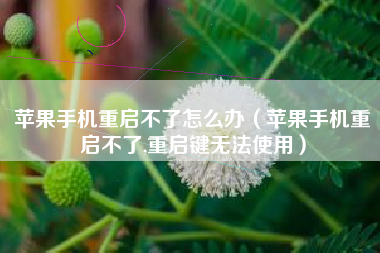 苹果手机重启不了怎么办（苹果手机重启不了,重启键无法使用）