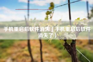 手机重启后软件消失（手机重启后软件消失了）