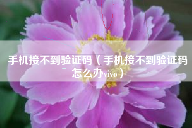 手机接不到验证码（手机接不到验证码怎么办vivo）