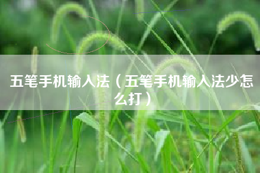 五笔手机输入法（五笔手机输入法少怎么打）