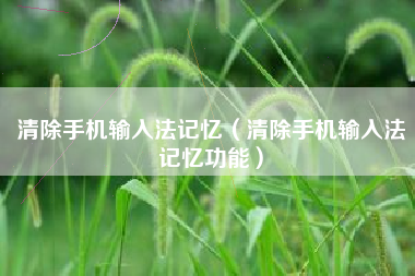 清除手机输入法记忆（清除手机输入法记忆功能）