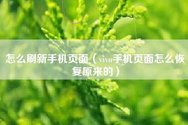 怎么刷新手机页面（vivo手机页面怎么恢复原来的）