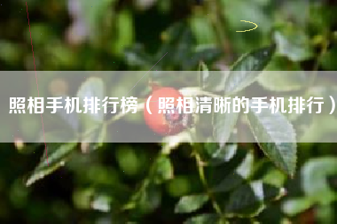 照相手机排行榜（照相清晰的手机排行）