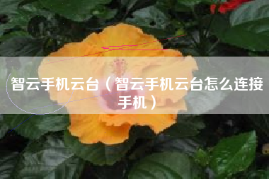 智云手机云台（智云手机云台怎么连接手机）