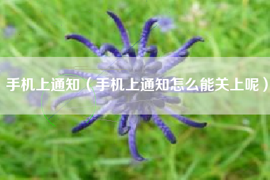手机上通知（手机上通知怎么能关上呢）