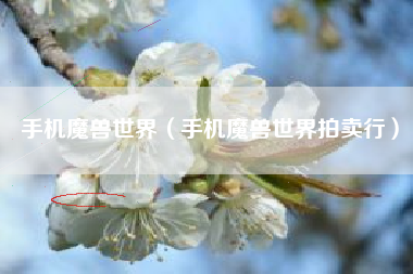 手机魔兽世界（手机魔兽世界拍卖行）