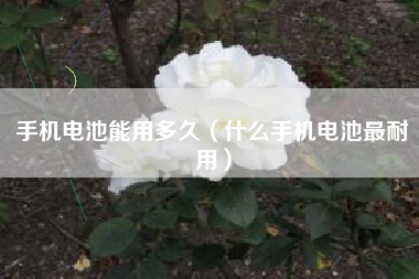 手机电池能用多久（什么手机电池最耐用）