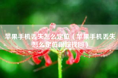 苹果手机丢失怎么定位（苹果手机丢失怎么定位跟踪找回）