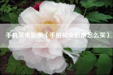 手机买电影票（手机买电影票怎么买）