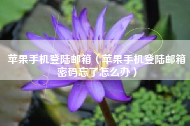 苹果手机登陆邮箱（苹果手机登陆邮箱密码忘了怎么办）
