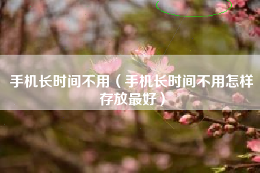 手机长时间不用（手机长时间不用怎样存放最好）