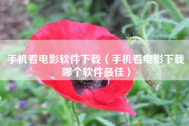 手机看电影软件下载（手机看电影下载哪个软件最佳）