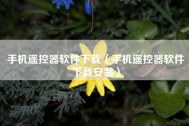 手机遥控器软件下载（手机遥控器软件下载安装）