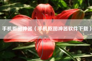 手机抠图神器（手机抠图神器软件下载）