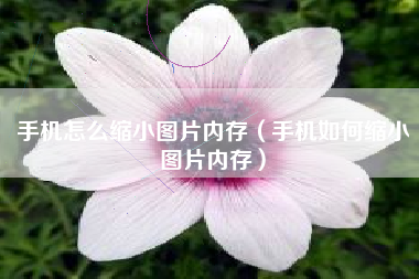 手机怎么缩小图片内存（手机如何缩小图片内存）