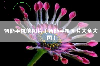 智能手机的图片（智能手机图片大全大图）