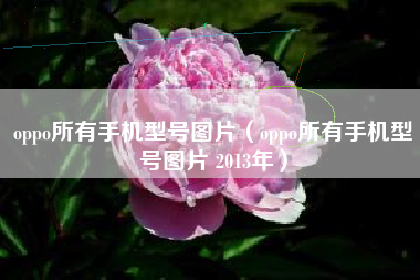 oppo所有手机型号图片（oppo所有手机型号图片 2013年）