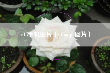 r15手机图片（r15oppo图片）