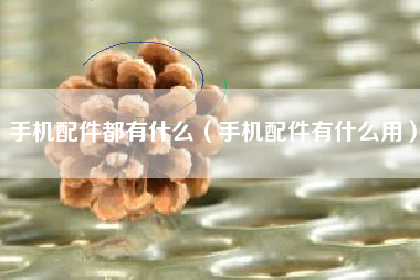 手机配件都有什么（手机配件有什么用）