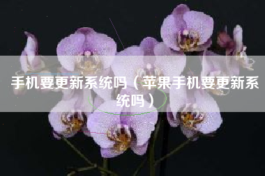 手机要更新系统吗（苹果手机要更新系统吗）