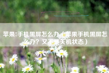 苹果7手机黑屏怎么办（苹果手机黑屏怎么办？又不是关机状态）
