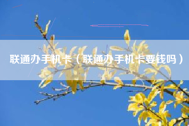 联通办手机卡（联通办手机卡要钱吗）