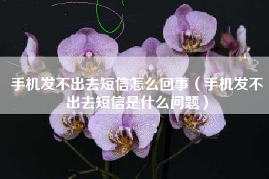 手机发不出去短信怎么回事（手机发不出去短信是什么问题）
