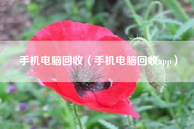 手机电脑回收（手机电脑回收app）