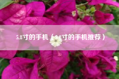 5.8寸的手机（5.8寸的手机推荐）