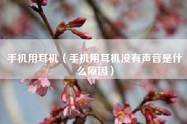 手机用耳机（手机用耳机没有声音是什么原因）