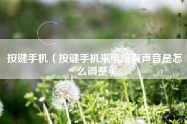 按键手机（按键手机来电没有声音是怎么调整）