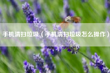 手机清扫垃圾（手机清扫垃圾怎么操作）