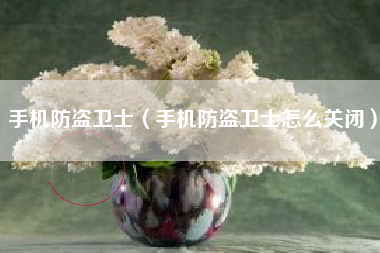 手机防盗卫士（手机防盗卫士怎么关闭）